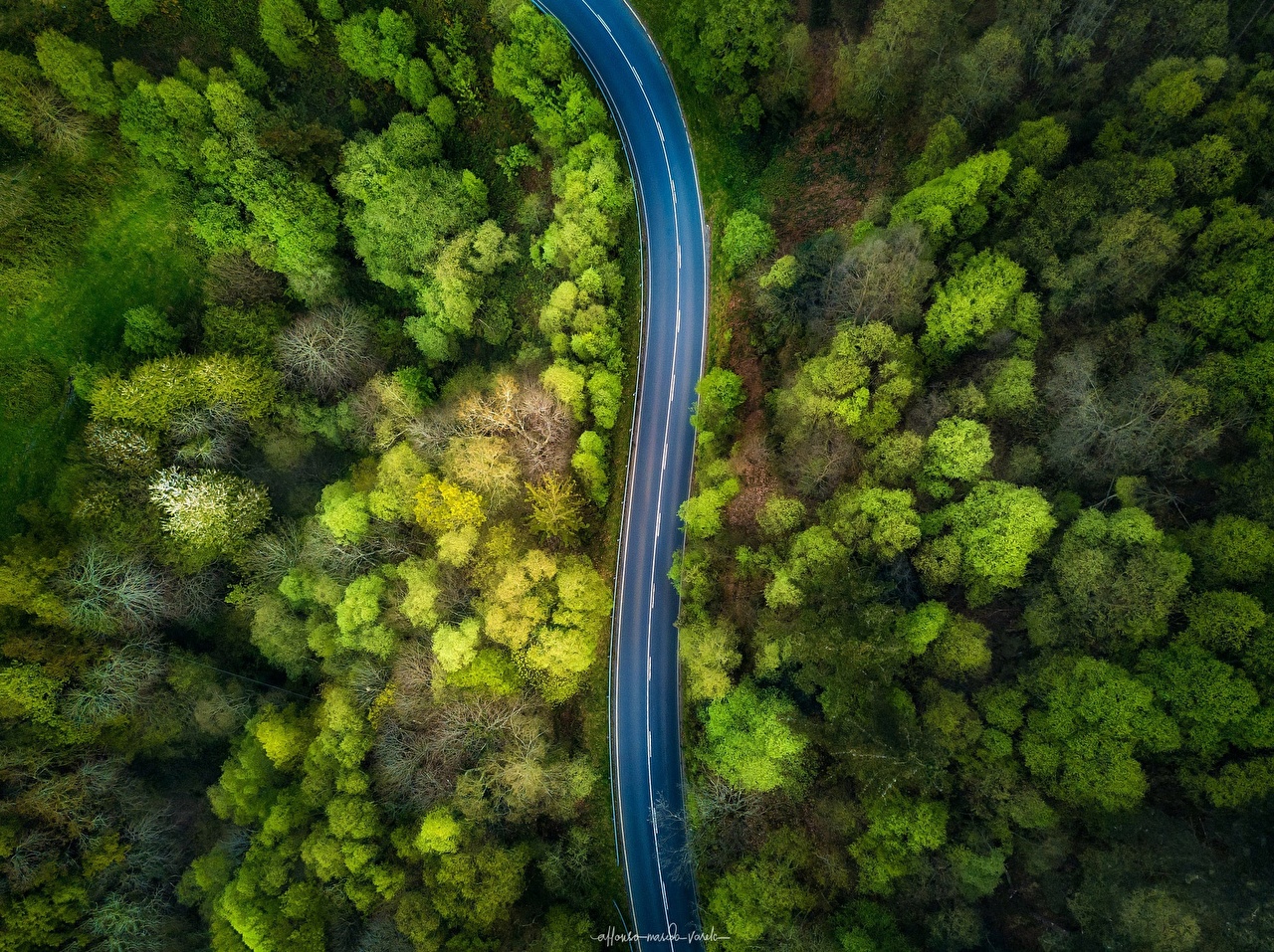 Forests_Roads_From_above_Trees_527799_1280x957.jpg